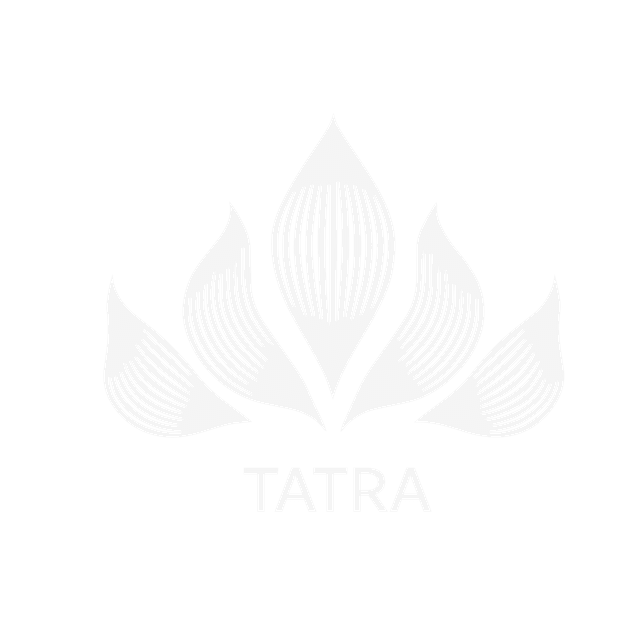 TATRA PROJECTS